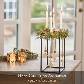 Accessories & Home