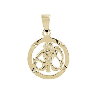 Aagaard Stjernetegn Vandmanden 8 kt. guld 0881120-1