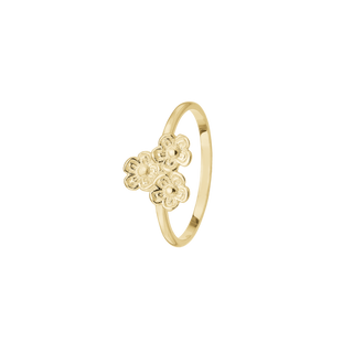 Aagaard 8 kt. guldring
