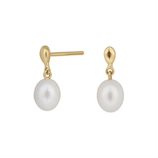 Siersbøl øreringe 8 kt ferskvandsperle 30550140300