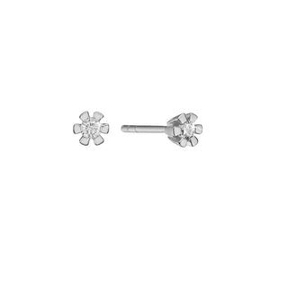Eternity by Aagaard øreringe 14 kt.  hvidguld 0,05 ct. WPI 44949905-34