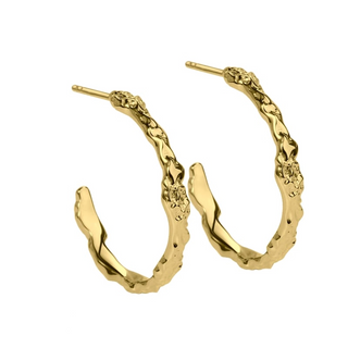 Aqua Dulce Mila Hoop øreringe 4651