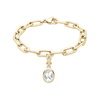 Christina Live sampak FG Small Link Armbånd + charm 625-livesam1-S-GP/20