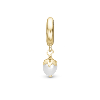 Christina Sparkling Pearl - Charm 6 mm 610-G144