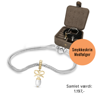 Christina Celebrate charms armbånd kampagne 615-CELEBRATE-G