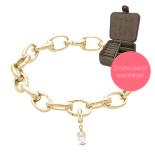 Christina Embrace Link armbånd med charm og smykkeskrin 625-EMBRACE-GP