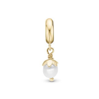 Christina Sparkling Pearl - Charm 4 mm 623-G368