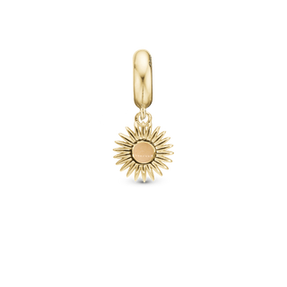 Christina Glow in the dark - Sun - Hænger Charm 4 mm Til Armbånd - Blankpoleret Forgyldt Sterling Sølv 623-G373