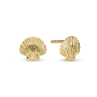 Christina øreringe Clam Shell 671-G129