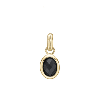 Christina Onyx Dream Vedhæng - Blankpoleret Forgyldt Sterling Sølv m. 1 Onyx 680-G14black