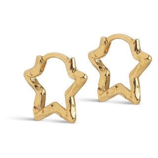 Enamel øreringe Organic Star small forgyldt messing E489GB