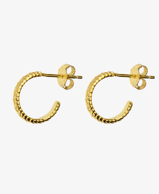 Hultquist Eliza øreringe i forgyldt sølv – S05055 G