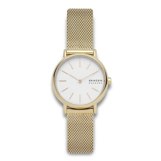 Skagen Signatur Lille SKW2693