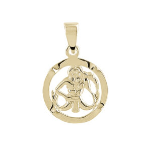 Aagaard Stjernetegn Vandmanden 8 kt. guld 0881120-1