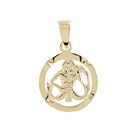 Aagaard Stjernetegn Vandmanden 8 kt. guld 0881120-1