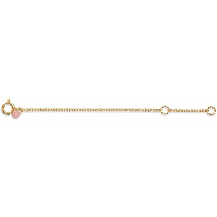 Enamel Extender Anklet forgyldt B52G