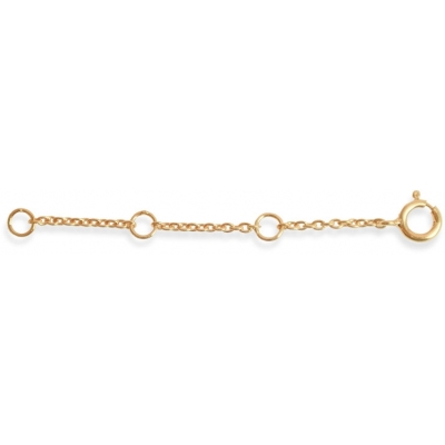 Enamel Extender Forgyldt B69G