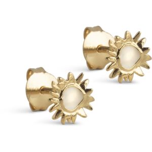 Enamel Small Sunshine øreringe E420GDaisy