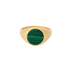 Pernille Corydon Forest Signet ring R-442-GP