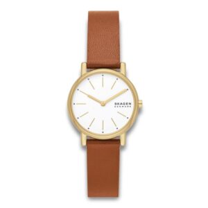 Skagen Signatur Lille SKW3121