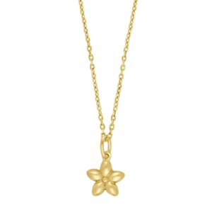 Forg. sølvvedhæng blomst m. kæde