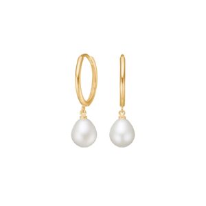 8kt. guldcreoler m/fvkp.